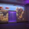 Проекционный дизайн "Виртуальная реальность" базовый комплект 500 анимаций - «globural.ru» - Серов