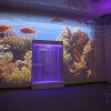 Проекционный дизайн "Виртуальная реальность" безлимитный комплект 1200 анимаций - «globural.ru» - Серов