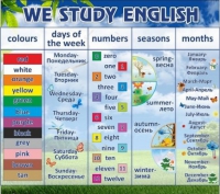 Стенд "We study english" - «globural.ru» - Серов