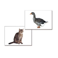 Дидактическое пособие "Домашние животные" (24 карточки, А4, ламинированное) - «globural.ru» - Серов