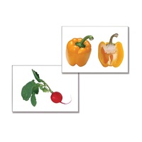 Дидактическое пособие "Овощи" (24 карточки, А4, ламинированное) - «globural.ru» - Серов