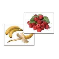 Дидактическое пособие "Фрукты, ягоды, орехи" (24 карточки, А4, ламинированные) - «globural.ru» - Серов