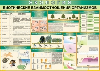 Таблица Биотические взаимоотношения организмов 1000*700 (винил) - «globural.ru» - Серов
