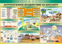 Таблица Антропогенное воздействие на биосферу 1000*700 винил - «globural.ru» - Серов