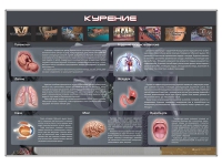 Стенд "Курение" (вариант 1) - «globural.ru» - Серов