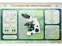 Электрифицированный стенд "Устройство микроскопа и правила работы c ним" - «globural.ru» - Серов