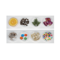 Игра "СенсиБар" - «globural.ru» - Серов