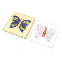 Строение бабочки с контуром. - «globural.ru» - Серов