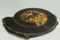 Аммонит пиритизированный, полированный срез 31,5х28х4 см - «globural.ru» - Серов