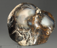 Агат дендритовый (халцедон), полировка - «globural.ru» - Серов