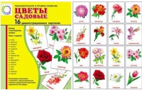 Демонстрационные карточки "Цветы садовые" - «globural.ru» - Серов