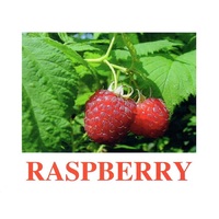 "Berries-1" ("Ягоды-1") английские карточки Домана - «globural.ru» - Серов