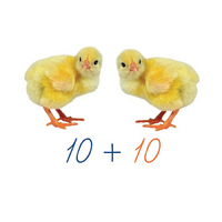 Счетный материал на магнитах "Цыплята". - «globural.ru» - Серов