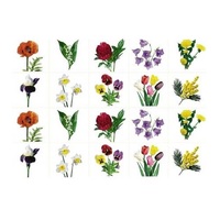 Комплект карточек. Серия наглядных пособий "Запоминай, играй, считай". Цветы. - «globural.ru» - Серов