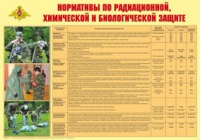 Плакат "Нормативы по радиационной, химической и биологической защите" - «globural.ru» - Серов