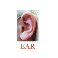 Карточки Домана "Body Parts" ("Части тела") на английском языке - «globural.ru» - Серов