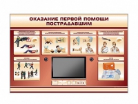 Многофункциональный интерактивный стенд-тренажер "Оказание первой помощи пострадавшим" для учащихся общеобразовательных учреждений - «globural.ru» - Серов