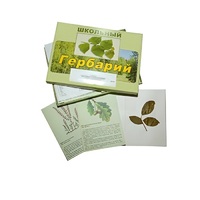 Гербарий "Дикорастущие растения" (30 видов, с иллюстрациями) - «globural.ru» - Серов