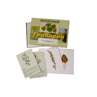 Гербарий "Лекарственные растения" (22 вида, с иллюстрациями) - «globural.ru» - Серов