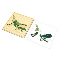 Строение кузнечика с контуром - «globural.ru» - Серов