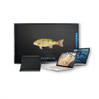 Интерактивное наглядное 3D пособие «Аквакультура» - «globural.ru» - Серов