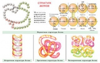 Плакаты и таблицы по общей химии - «globural.ru» - Серов