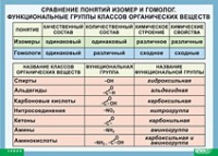 Химия. Сравнение понятий изомер и гомолог. Функциональные группы классов органических веществ (винил) - «globural.ru» - Серов