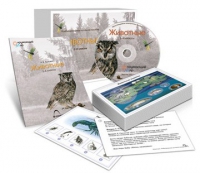 Комбинированное наглядное пособие «Животные» - «globural.ru» - Серов