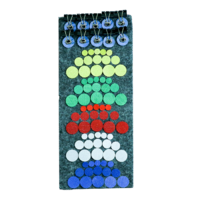 Дидактический набор «Кружки и зажимы» - «globural.ru» - Серов