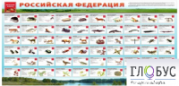 Стенд "Красная книга РФ" - «globural.ru» - Серов