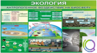 Стенд "Экология. Антропогенное воздействие на биосферу" - «globural.ru» - Серов