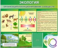 Стенд "Экология. Организация и функционирование сообществ" - «globural.ru» - Серов