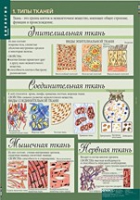 Биология 8-9 класс. Человек. (комплект таблиц) - «globural.ru» - Серов