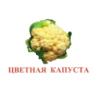 Карточки Домана "Овощи-Зелень-2" - «globural.ru» - Серов