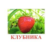 Карточки Домана "Ягоды-1" - «globural.ru» - Серов