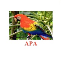 Карточки Домана "Птицы-2" - «globural.ru» - Серов