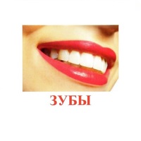 Карточки Домана "Части тела" - «globural.ru» - Серов