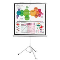 Экран на штативе DSKD-1104 - «globural.ru» - Серов