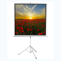 Экран на штативе DSKD-1105  - «globural.ru» - Серов