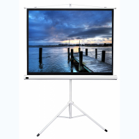 Экран на штативе DSKD-4302 - «globural.ru» - Серов