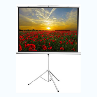 Экран на штативе DSKD-4303 - «globural.ru» - Серов