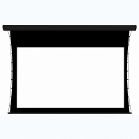 Экран настенный с электроприводом DSTPX-16918 - «globural.ru» - Серов