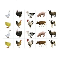 Комплект карточек. Серия наглядных пособий "Запоминай, играй, считай". Домашние животные - «globural.ru» - Серов