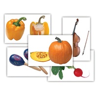 Набор предметных картинок "Овощи. Музыкальные инструменты" - «globural.ru» - Серов