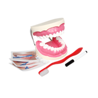 Игровой комплект "Чистим зубы" - «globural.ru» - Серов