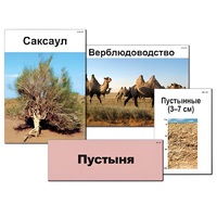 Модель-аппликация "Природные зоны России" - «globural.ru» - Серов