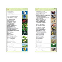 Комплект карточек (10) "Обучающий калейдоскоп. Природа" - «globural.ru» - Серов
