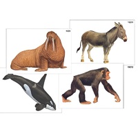 Модель-аппликация "Разнообразие высших хордовых 2. Млекопитающие" (ламинированная) - «globural.ru» - Серов