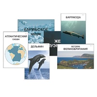 Модель-аппликация "Океаны. Знакомство" (ламинированная) - «globural.ru» - Серов