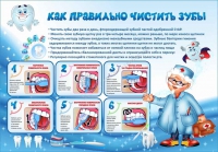 Стенд "Как правильно чистить зубы" - «globural.ru» - Серов